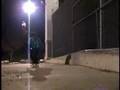 videos de Brian Peacock Noseslide Nollie Flip Out
