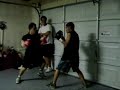 ALVY VS CHUCK