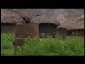 The Final Betrayal - Uganda