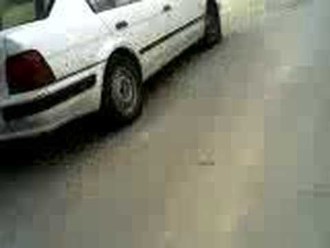 Fardal