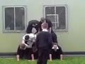 human pyramind in school human pyramind in school