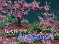 獨有的專注 廣東話 詩歌 卡啦OK 07-18 v wey's karaoke