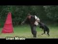 videos de Urian Miratio, Lady a Deny Alary Aslar - obrana