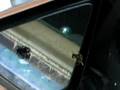 videos de Bugs at the old