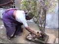 Janaki atha.mov