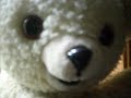 Snuggles Loses Control Snuggles Loses Control