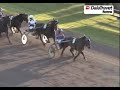 DalaTravet Romme i Borlänge Dalarna DalaTravet Romme i Borlänge Dalarna
