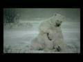 changement climatique