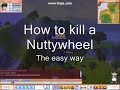 Flyff: Killing a Nuttywheel