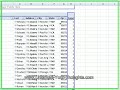 Excel Power Tips - Merge (Deduplicate) Like Records