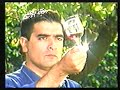 degustación.