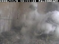 New camera footage of the three peregrine chicks
