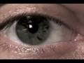 videos de Project 
