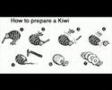 Ugly KIWI - Nothing else matters - Metallica