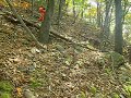 mid state trail hike: climbing tussey mountain