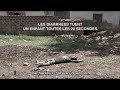 Le harlem shake de la Croix-Rouge : bougez-vous ! http://t.co/JbYuOL6PEj