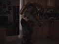 Bioshock halloween Bioshock halloween