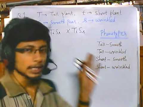 How To Solve Genetic Problems