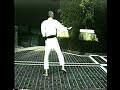 Niseishi Kata Wadoryu