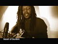 Sunn - Beast of Burden Blues
