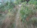Freeride Trail Homolka Vimperk Helmet Cam.Riders:Lukas, Nerd Freeride Trail Homolka Vimperk Helmet Cam.Riders:Lukas, Nerd