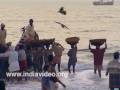 Catch coming ashore at Nattika beach, Thrissur