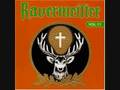 videos de Ravermeister Vol.11 (1998)