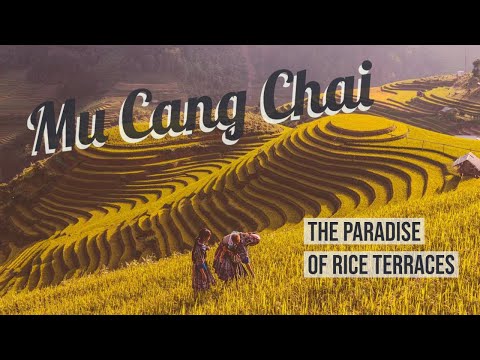 Mu Cang Chai - The Paradise Of Rice Terraces