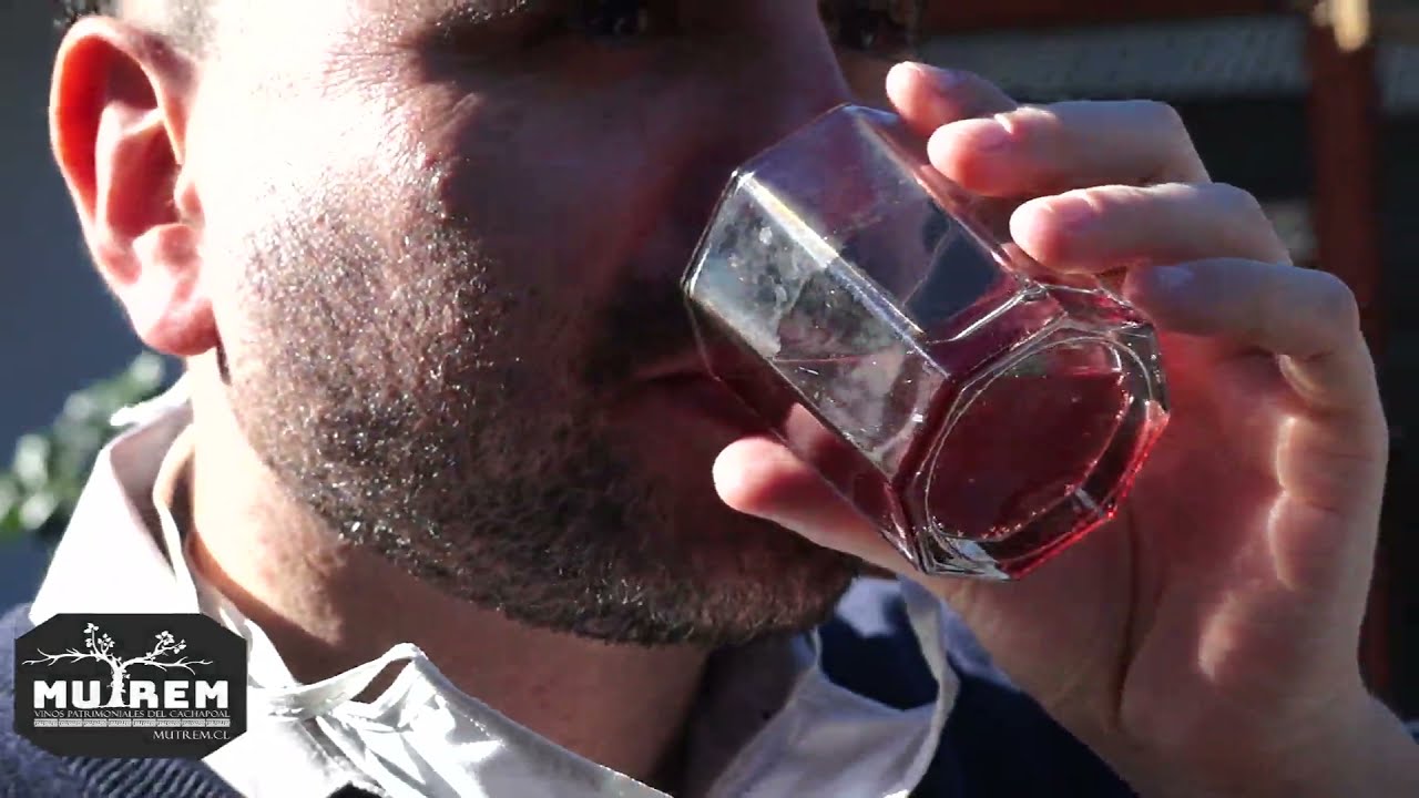 Mutrem Vinos patrimoniales