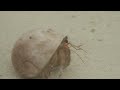 Maldives Our Dream Holiday Malediwy Part Ii