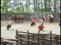 ```Konniy_Teatr!!!.avi