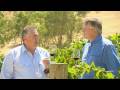 2006 Grant Burge Shadrach Cabernet Sauvignon 2006 Grant Burge Shadrach Cabernet Sauvignon