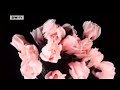 Made in Germany | Fleurop -- 100 Jahre Blumengruß