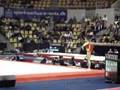 2006 - Worlds - Prelims - Pang PanPan - FX (14.325)
