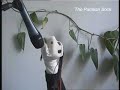 google sock guitar google sock guitar