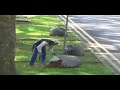 Potae Video-Singapore Environment Potae Video-Singapore Environment