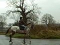 Horses + Students In Training 9 -22 Nov 0