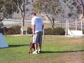 working dogs,schutzhund,Doberman,wda,ipo,awdf