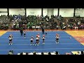 Matteson Bears 2008 Widget Cheer Champions