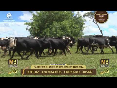 11� LEIL�O FAM�LIA LUCIANO DUARTE E CONVIDADOS