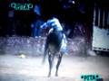 videos de pincel vs joel de chaucingo que porrazo