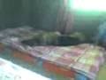 videos de dexter playing  at Toping bed