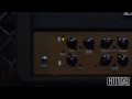 Traynor Custom Special YCS50H head & YCS412VA cabinet