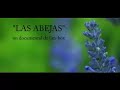 LAS ABEJAS. Pequeños . (Humor)