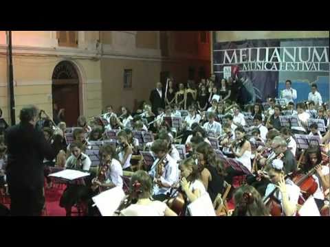 Immagine anteprima YouTube