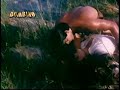 TARZAN-LOVE IN THE JUNGLE
