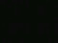 2010.mp4