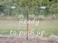 Buddipole Buddistick