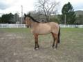 videos de VTS 01 1