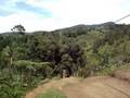 Camp Sabros - Solo Zip